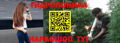 PSILOCYBIN Канаш