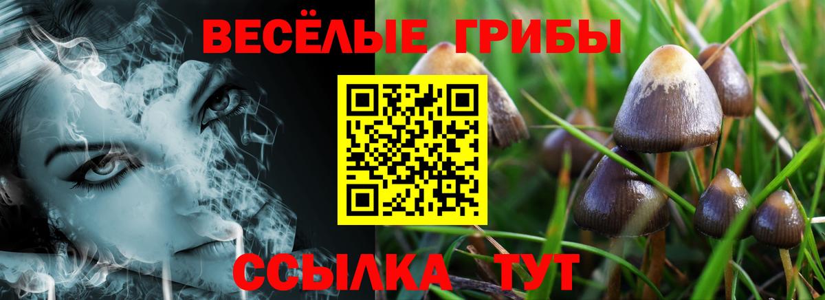 Галлюциногенные грибы Psilocybine cubensis  Вход с VPN  купить закладку  Коломна 